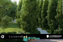 SurfaceSPREAD植物与岩石分布生成C4D插件V1.0.44版 LAUBWERK SURFACESPREAD V1.0.4...