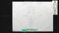 2015男性与女性身体的解剖视频教程