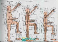 人体工程学图解