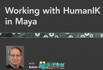 《Maya角色骨骼结构视频教程》Lynda.com Working with HumanIK