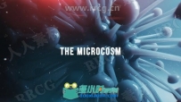 微观世界科技感病毒元素缩影开场片头展示动画AE模板