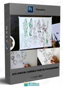 金老大画师详细人体透视画法手绘速写技法基础精炼视频教程