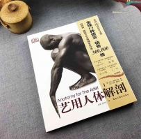 艺用人体解剖PDF版电子书