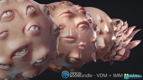 110组人类怪物面部五官Zbrush IMM和VDM笔刷与3D模型合集