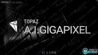 Topaz Gigapixel AI图像智能处理软件V6.2.2版