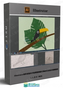 Illustrator初学者基本手绘草图创建矢量插图过程技术视频教程