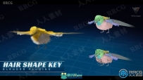 HairShapeKe毛发形状造型控制Blender插件V5.2版