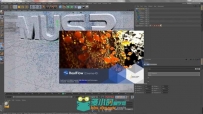 RealFlow流体动力学模拟C4D插件V1.0.0.0080版 NEXTLIMIT REALFLOW FOR CINEMA4D V1...