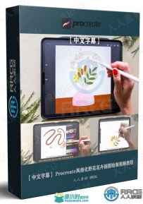 Procreate风格化野花花卉插图绘制视频教程