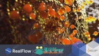 RealFlow流体动力学模拟C4D R20插件V2.6.4.0092版