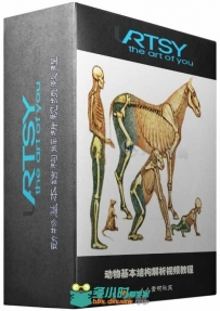 动物基本结构解析视频教程 Uartsy Animal Anatomy