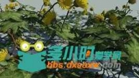 藤蔓gwIvy_v0.96b-max-guruware2010-2015