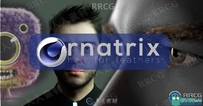Ephere Ornatrix头发毛发C4D插件V2.2.9.29361版
