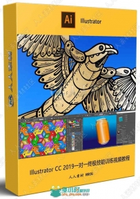 Illustrator CC 2019一对一终极技能训练视频教程
