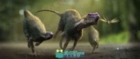 Peregrine Labs Yeti皮毛羽毛Maya插件V3.6.2版