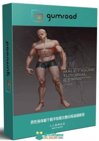 男性身体躯干数字绘画完整训练视频教程