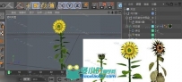 功能强大的C4D植物生长插件Xfrog 5.2汉化版