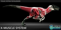 X-Muscle System快速创建肌肉系统Blender插件V3.0 XL版