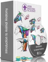 动物解剖学绘画训练大师班视频教程1-10季