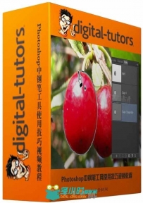 Photoshop中钢笔工具使用技巧视频教程 Digital-Tutors Understanding the Pen Tool...