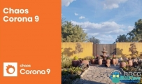 Corona Renderer 9超写实照片级渲染器C4D插件