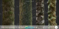 32组4K高精度树木树皮PBR纹理贴图合集第二季