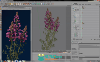Greenworks XFrog植物C4DR16-R17插件V5.3DC10092015版 Greenworks XFrog v5.3 DC10...