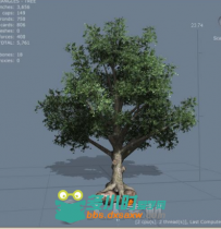 SpeedTree Cinema树木植物实时建模软件V7.1.1版