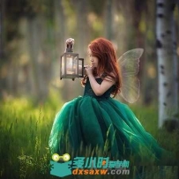 摄影写真高级修饰技巧实例训练视频教程 LJ Holloway Photography Editing Videos B...