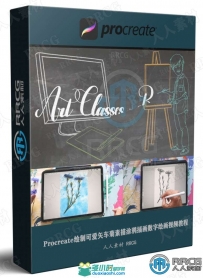 Procreate绘制可爱矢车菊素描涂鸦插画数字绘画视频教程